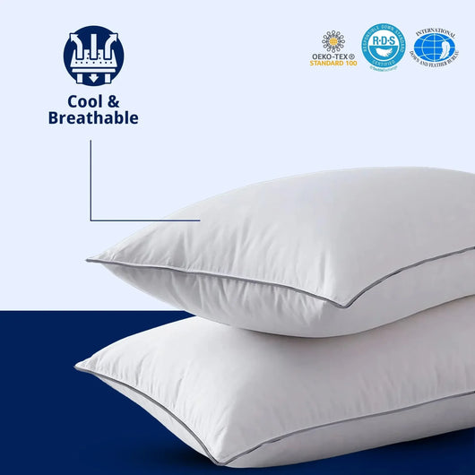Mulberry Silk Pillow