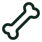 Bone Support